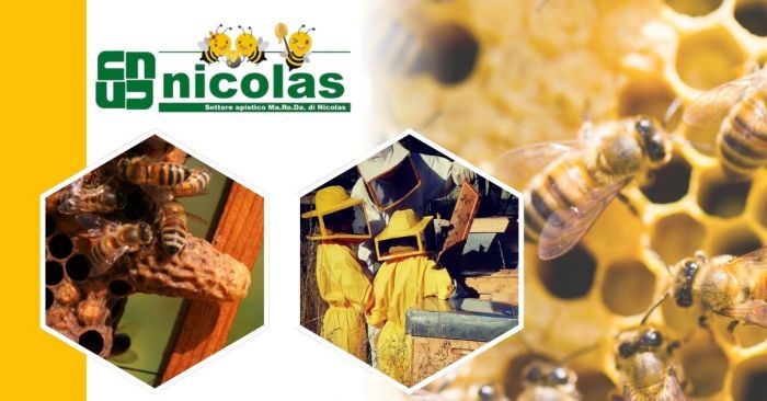 GIUSEPPE Susa foto 1